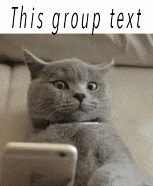 Cute Cat Group Texting Sent GIF