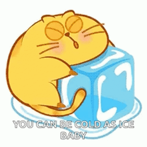 Cute Cat Hugging Ice Ice Baby GIF