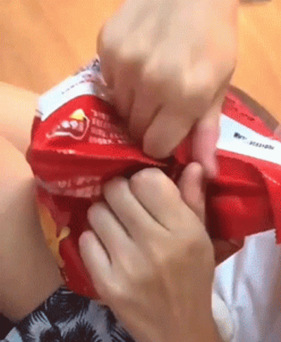 Cute Cat Inside A Bag Of Chip Meme GIF