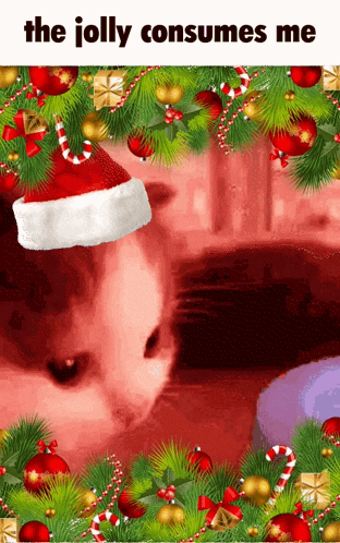 Cute Cat Jolly Consume Me Christmas Meme GIF