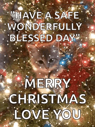Cute Cat Merry Christmas Wishes Love You GIF