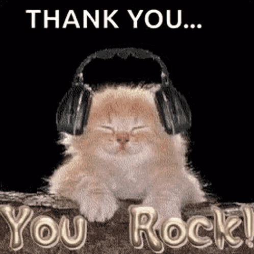 Cute Cat Music Thank You Very Much GIF