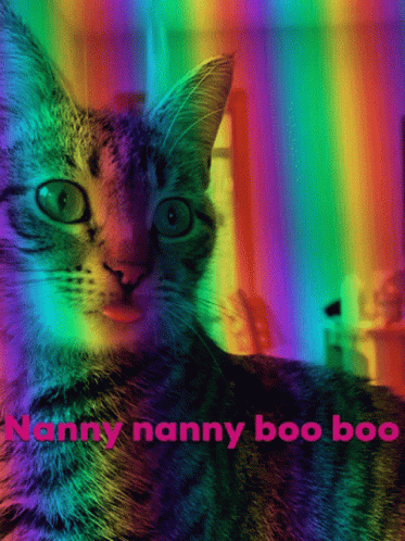 Cute Cat Nanny Boo Boo GIF