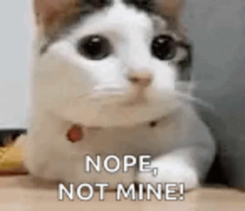 Cute Cat Not Mine Not Me GIF