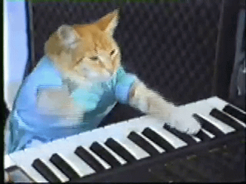Cute Cat Playing Piano GIF