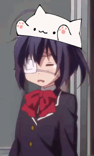 Cute Cat Poking Rikka-chan GIF