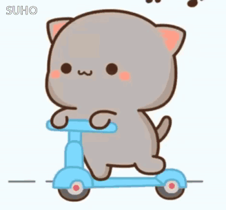 Cute Cat Riding Blue Scooter GIF