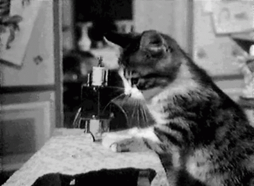 Cute Cat Sewing Dress Sewing Machine GIF