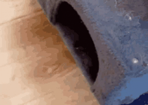 Cute Cat Sneaking Hide And Seek GIF