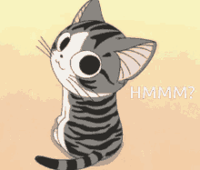 Cute Cat Staring Hmm GIF