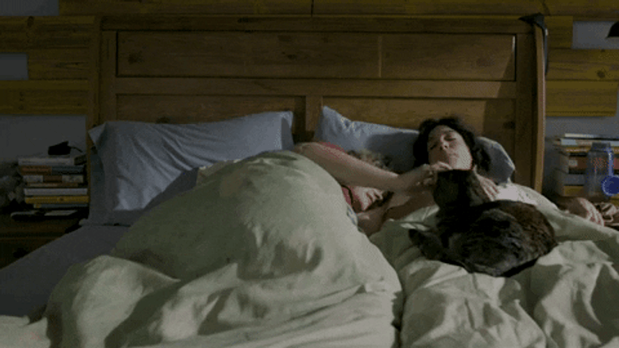 Cute Cat Wake Up Couple In Bed GIF