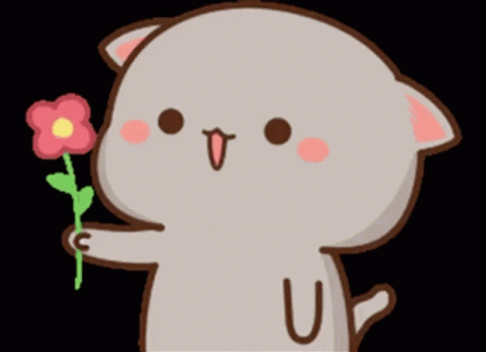 Cute Cat With Pink Rose GIF