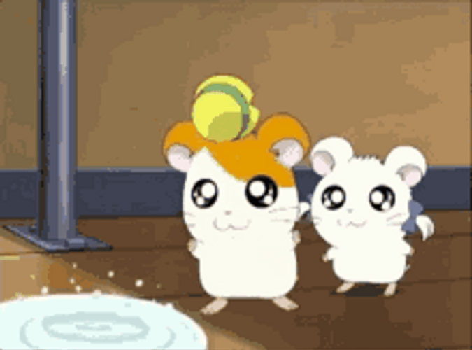 Cute Catch Water Droplet Hamtaro Thirsty GIF