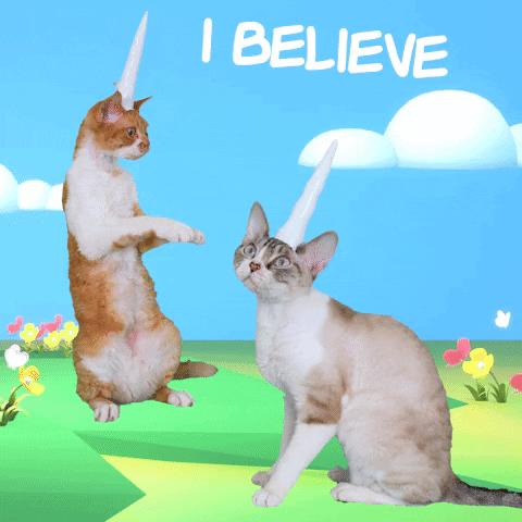 Cute Cats I Believe GIF