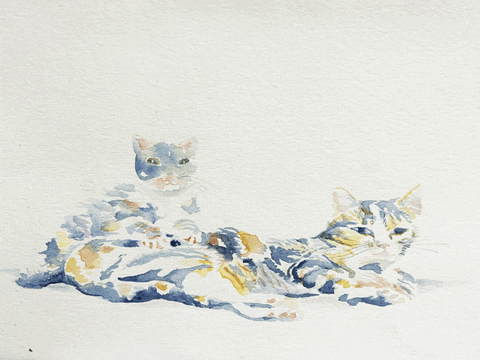Cute Cats Painting GIF