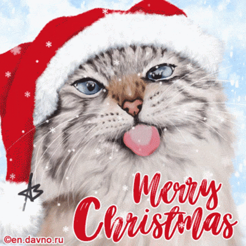 Cute Christmas Cat Licking Snow GIF