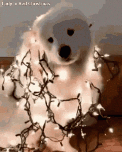 Cute Christmas Dog Wearing Christmas Lights GIF