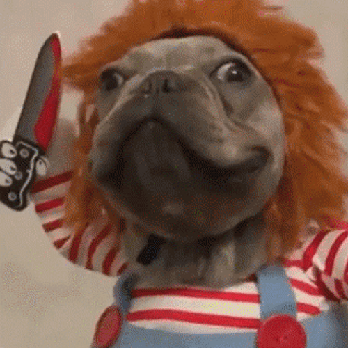 Cute Chucky Dog Start Stabbing GIF