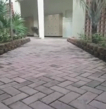 Cute Couple Holding Hands GIF