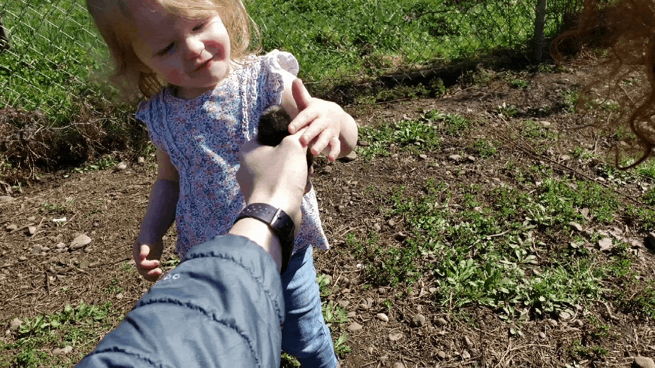 Cute Couple Little Girl GIF