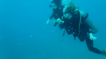 Cute Couple Scuba Diving GIF