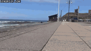 Cute Couple Single Man GIF