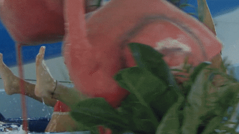 Cute Couple Waterslide Fun GIF