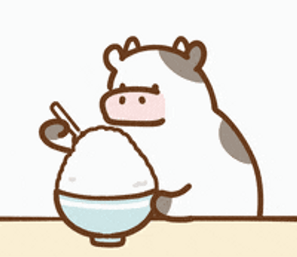 Cute Cow Eating GIF