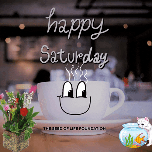 Cute Cup Cartoon Saturday Morning GIF