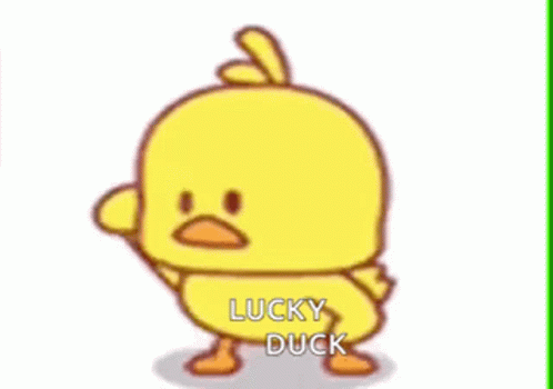 Cute Dancing Lucky Duck GIF