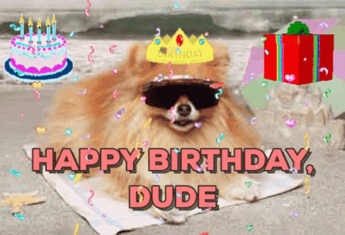 Cute Dog Beach Birthday Wishes GIF