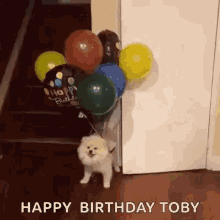 Cute Dog Birthday Balloons Float GIF