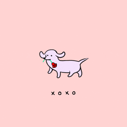 Cute Dog Biting Rose GIF