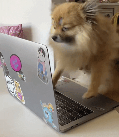 Cute Dog Doing Fast Typing GIF