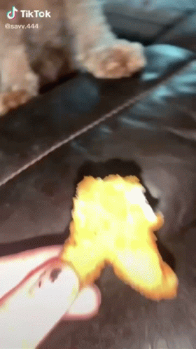 Cute Dog Flipping Out On Nugget Meme GIF