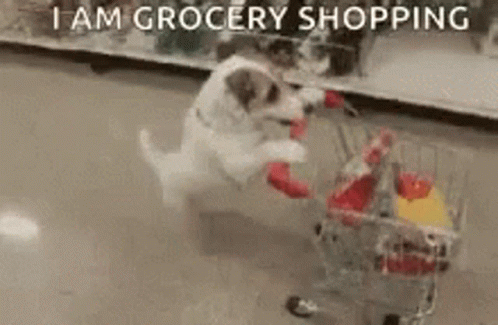 Cute Dog Grocery Shopping GIF