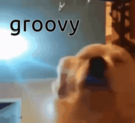 Cute Dog Groovy GIF