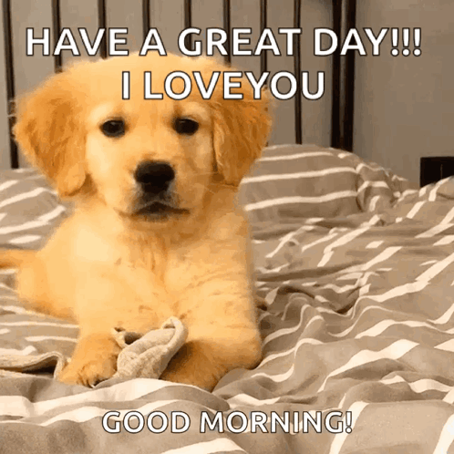 Cute Dog Have A Great Day GIF