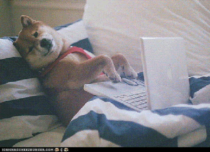 Cute Dog Laying Typing GIF