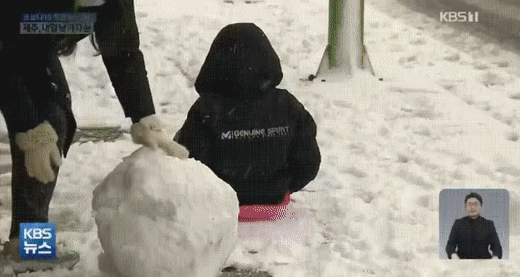 Cute Dog Motorcycle Ride GIF
