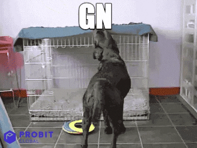Cute Dog Sleeping In Cage Meme GIF