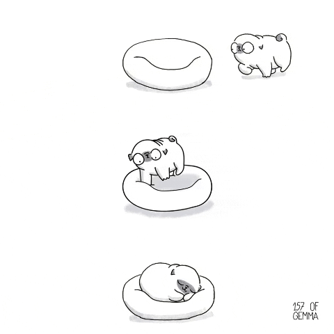 Cute Dog Spinning On Its Bed GIF