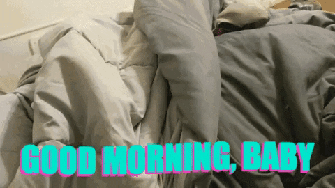 Cute Dog Surprise Good Morning Honey GIF