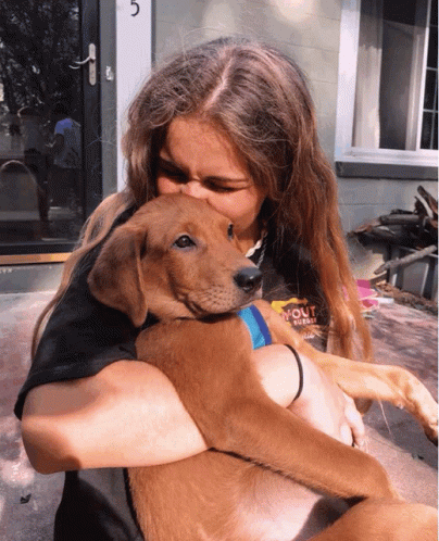 Cute Dogs Is A Mommy's Girl GIF