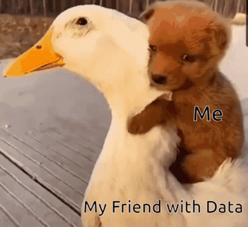 Cute Dogs With Friend Duck GIF