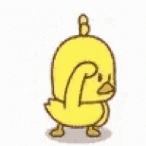 Cute Duckling Searching Around Animation GIF