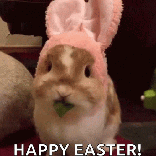 Cute Easter Bunny Eating GIF