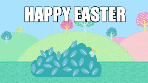 Cute Easter Chick Surprise GIF