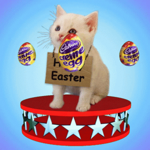 Cute Easter Egg Cat Spin GIF