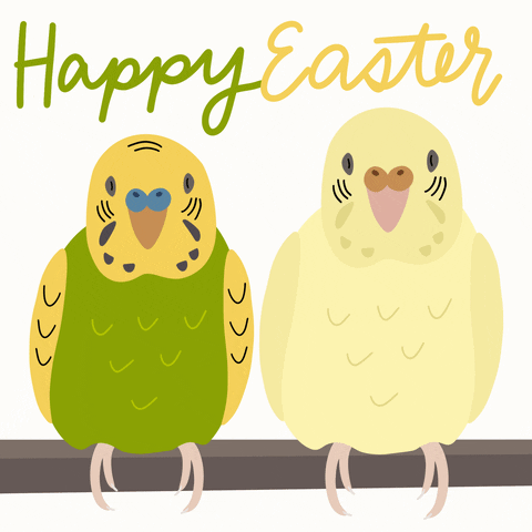 Cute Easter Love Birds GIF
